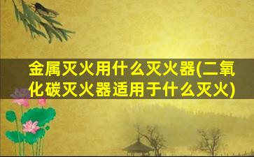 金属灭火用什么灭火器(二氧化碳灭火器适用于什么灭火)