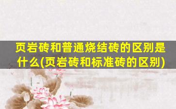 页岩砖和普通烧结砖的区别是什么(页岩砖和标准砖的区别)