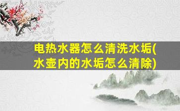 电热水器怎么清洗水垢(水壶内的水垢怎么清除)