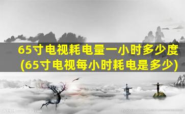 65寸电视耗电量一小时多少度(65寸电视每小时耗电是多少)