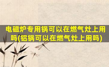 电磁炉专用锅可以在燃气灶上用吗(铝锅可以在燃气灶上用吗)