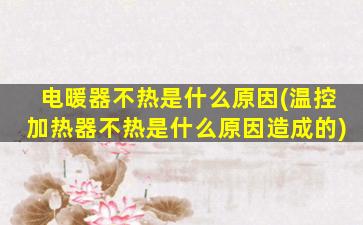 电暖器不热是什么原因(温控加热器不热是什么原因造成的)