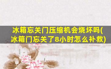 冰箱忘关门压缩机会烧坏吗(冰箱门忘关了8小时怎么补救)
