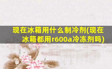 现在冰箱用什么制冷剂(现在冰箱都用r600a冷冻剂吗)