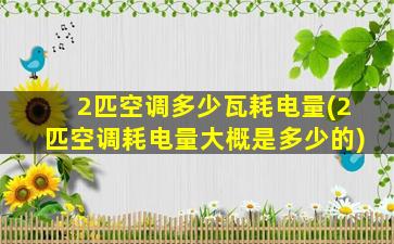 2匹空调多少瓦耗电量(2匹空调耗电量大概是多少的)