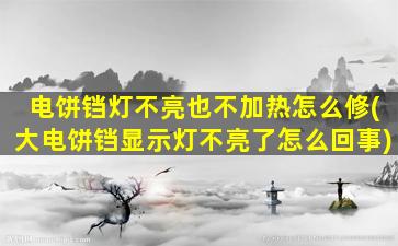 电饼铛灯不亮也不加热怎么修(大电饼铛显示灯不亮了怎么回事)