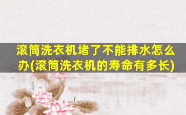 滚筒洗衣机堵了不能排水怎么办(滚筒洗衣机的寿命有多长)
