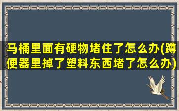 马桶里面有硬物堵住了怎么办(蹲便器里掉了塑料东西堵了怎么办)