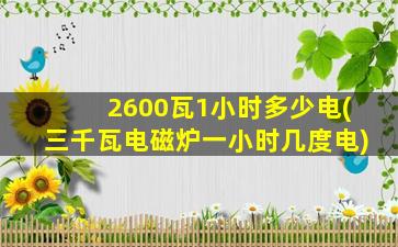 2600瓦1小时多少电(三千瓦电磁炉一小时几度电)