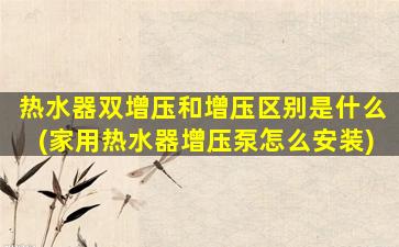 热水器双增压和增压区别是什么(家用热水器增压泵怎么安装)