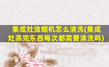 集成灶油烟机怎么清洗(集成灶蒸完东西每次都需要清洗吗)
