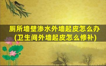 厕所墙壁渗水外墙起皮怎么办(卫生间外墙起皮怎么修补)