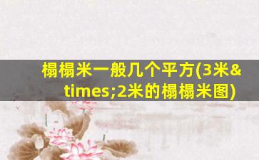 榻榻米一般几个平方(3米×2米的榻榻米图)