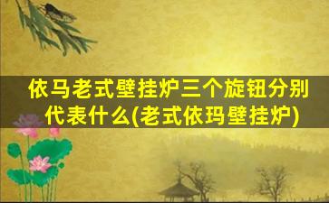 依马老式壁挂炉三个旋钮分别代表什么(老式依玛壁挂炉)