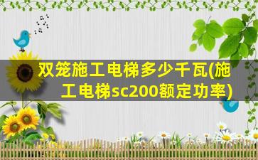 双笼施工电梯多少千瓦(施工电梯sc200额定功率)