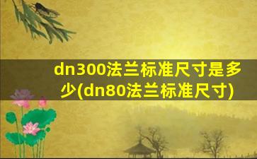 dn300法兰标准尺寸是多少(dn80法兰标准尺寸)