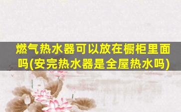 燃气热水器可以放在橱柜里面吗(安完热水器是全屋热水吗)
