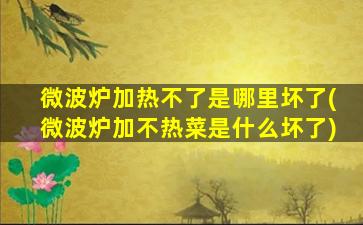 微波炉加热不了是哪里坏了(微波炉加不热菜是什么坏了)
