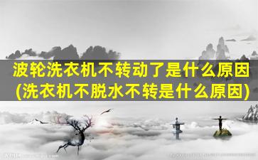波轮洗衣机不转动了是什么原因(洗衣机不脱水不转是什么原因)