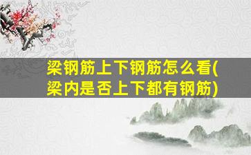 梁钢筋上下钢筋怎么看(梁内是否上下都有钢筋)
