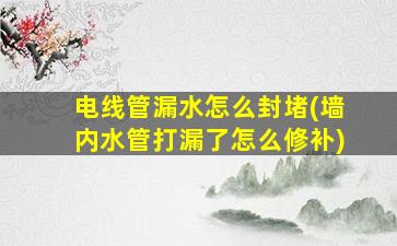 电线管漏水怎么封堵(墙内水管打漏了怎么修补)