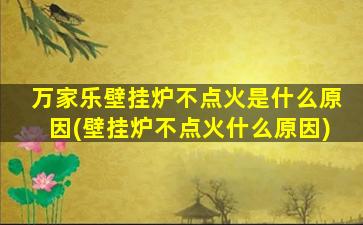 万家乐壁挂炉不点火是什么原因(壁挂炉不点火什么原因)