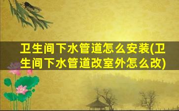 卫生间下水管道怎么安装(卫生间下水管道改室外怎么改)