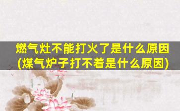 燃气灶不能打火了是什么原因(煤气炉子打不着是什么原因)