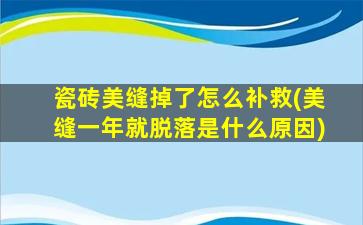 瓷砖美缝掉了怎么补救(美缝一年就脱落是什么原因)