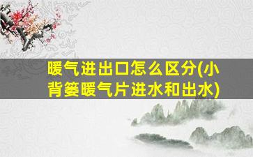 暖气进出口怎么区分(小背篓暖气片进水和出水)