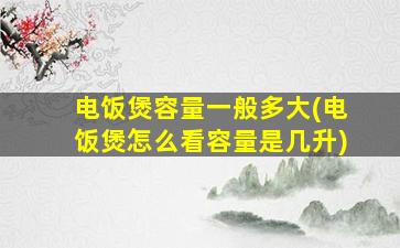 电饭煲容量一般多大(电饭煲怎么看容量是几升)