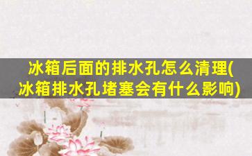 冰箱后面的排水孔怎么清理(冰箱排水孔堵塞会有什么影响)