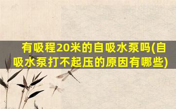 有吸程20米的自吸水泵吗(自吸水泵打不起压的原因有哪些)