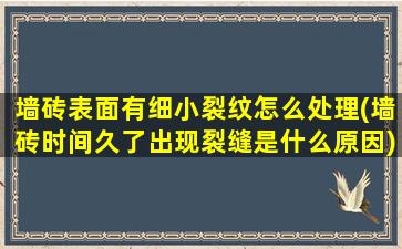 墙砖表面有细小裂纹怎么处理(墙砖时间久了出现裂缝是什么原因)