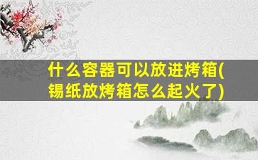 什么容器可以放进烤箱(锡纸放烤箱怎么起火了)