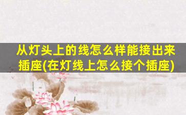 从灯头上的线怎么样能接出来插座(在灯线上怎么接个插座)