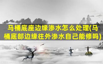 马桶底座边缘渗水怎么处理(马桶底部边缘往外渗水自己能修吗)
