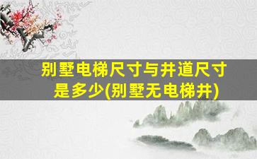 别墅电梯尺寸与井道尺寸是多少(别墅无电梯井)