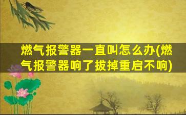燃气报警器一直叫怎么办(燃气报警器响了拔掉重启不响)