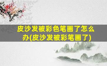 皮沙发被彩色笔画了怎么办(皮沙发被彩笔画了)