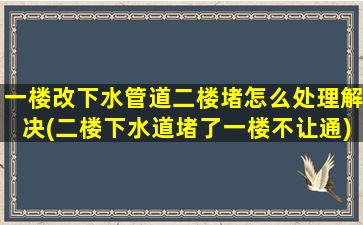 一楼改下水管道二楼堵怎么处理解决(二楼下水道堵了一楼不让通)