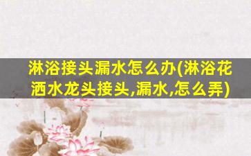 淋浴接头漏水怎么办(淋浴花洒水龙头接头,漏水,怎么弄)