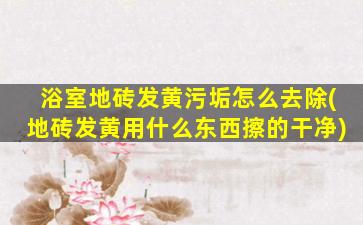浴室地砖发黄污垢怎么去除(地砖发黄用什么东西擦的干净)