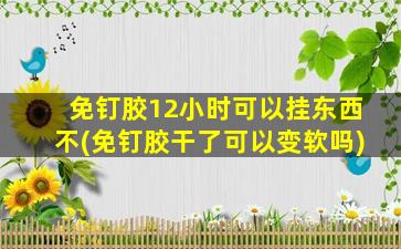 免钉胶12小时可以挂东西不(免钉胶干了可以变软吗)