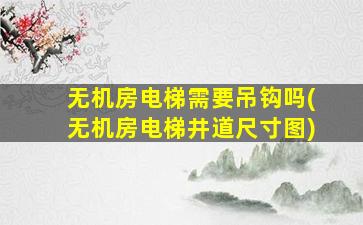无机房电梯需要吊钩吗(无机房电梯井道尺寸图)