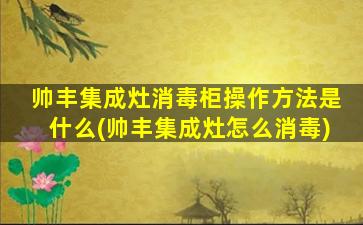 帅丰集成灶消毒柜操作方法是什么(帅丰集成灶怎么消毒)