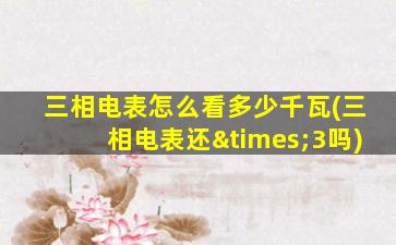 三相电表怎么看多少千瓦(三相电表还×3吗)