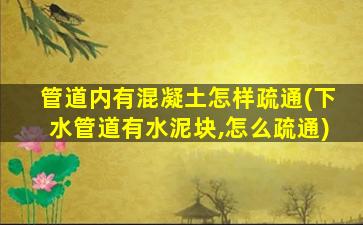管道内有混凝土怎样疏通(下水管道有水泥块,怎么疏通)