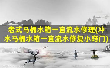 老式马桶水箱一直流水修理(冲水马桶水箱一直流水修复小窍门)