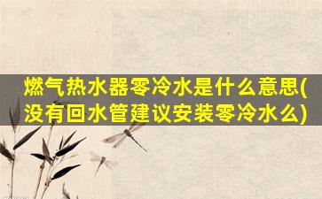 燃气热水器零冷水是什么意思(没有回水管建议安装零冷水么)